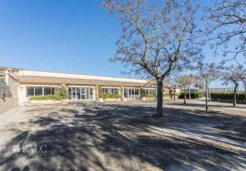 475229-Vorschaubild3