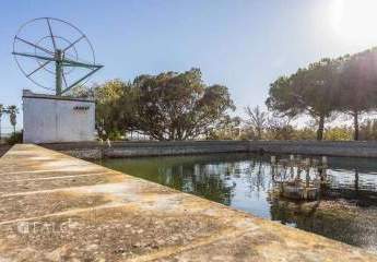 475229-Vorschaubild4