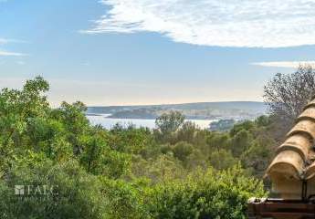 475230-Vorschaubild2