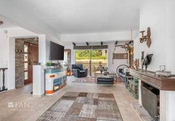 475230-Vorschaubild4