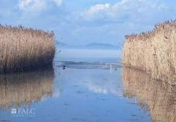 475231-Vorschaubild2