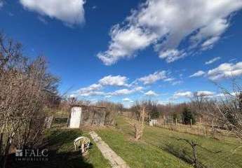 474922-Vorschaubild4