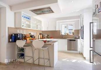 475239-Vorschaubild3