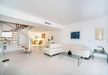 475241-Vorschaubild2