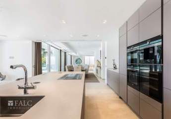 475242-Vorschaubild2