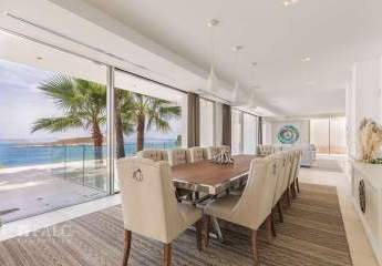 475242-Vorschaubild4