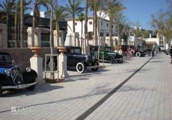 475330-Vorschaubild4