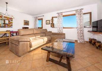 475335-Vorschaubild3