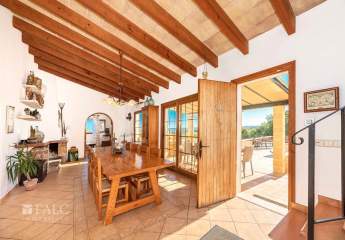 475335-Vorschaubild4