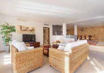 475343-Vorschaubild4