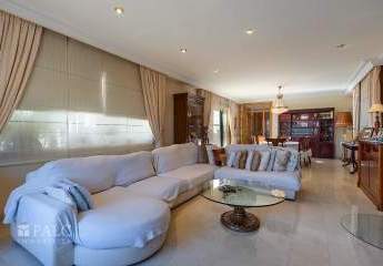 475347-Vorschaubild3