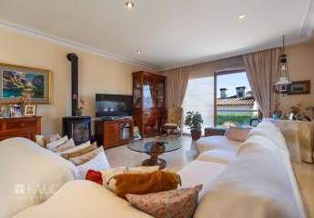 475347-Vorschaubild4