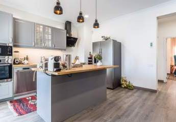 475350-Vorschaubild3