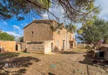 475354-Vorschaubild3