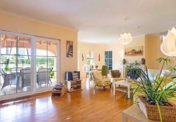 475470-Vorschaubild3