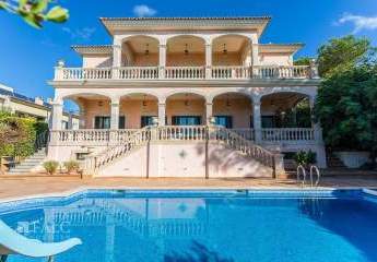 475473-Vorschaubild3