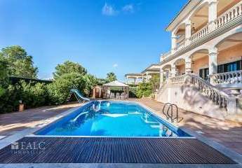 475473-Vorschaubild4