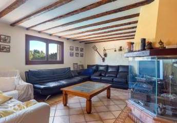 475494-Vorschaubild2