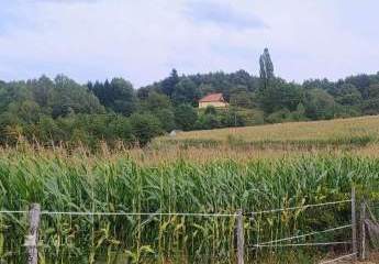 475496-Vorschaubild2