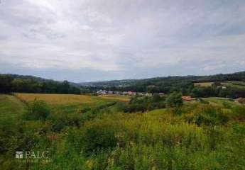 475496-Vorschaubild4