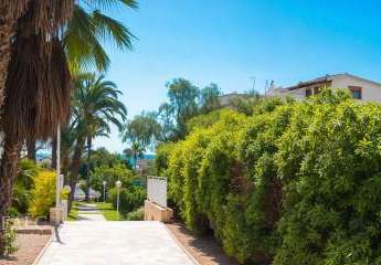 452615-Vorschaubild2