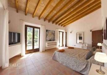 475773-Vorschaubild4