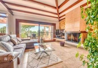 475787-Vorschaubild2