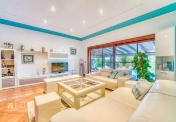 475787-Vorschaubild4