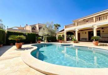 476034-Vorschaubild2