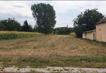 476096-Vorschaubild2