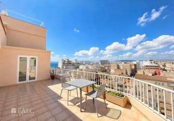 455953-Vorschaubild2