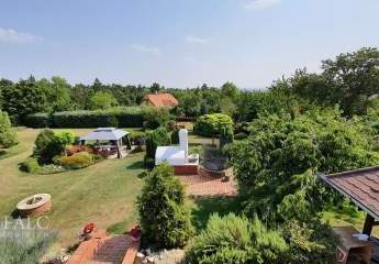 476245-Vorschaubild3