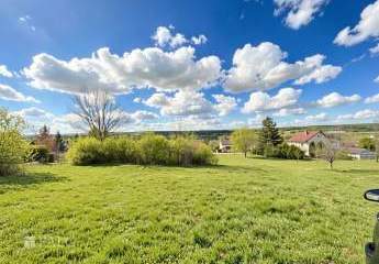 476270-Vorschaubild2