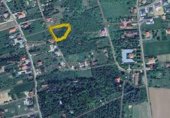 476270-Vorschaubild4