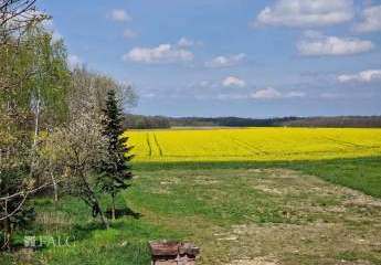 476320-Vorschaubild4