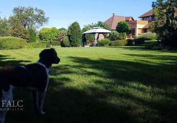 476245-Vorschaubild2