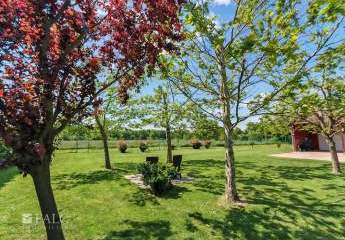 476384-Vorschaubild4