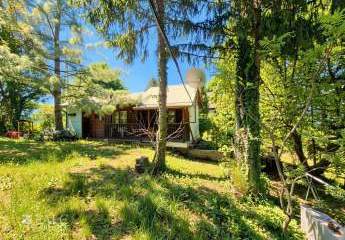 476594-Vorschaubild2