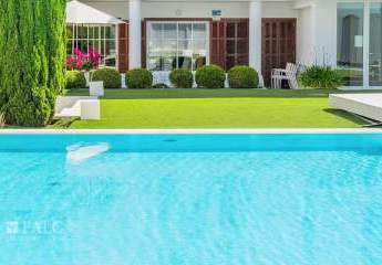 469313-Vorschaubild2