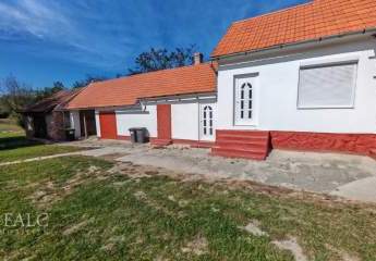 476879-Vorschaubild2