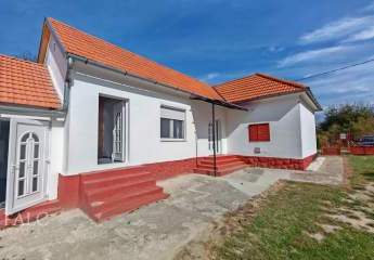 476879-Vorschaubild3