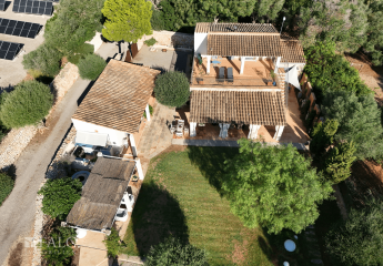 441290-Vorschaubild2