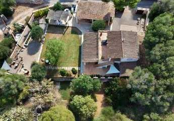 441290-Vorschaubild3