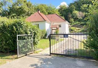 477187-Vorschaubild2