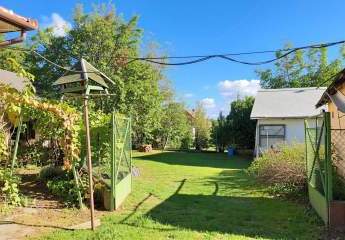 477496-Vorschaubild3