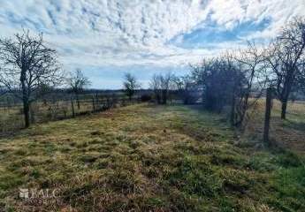 478191-Vorschaubild3