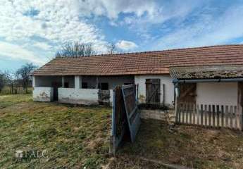 478191-Vorschaubild4