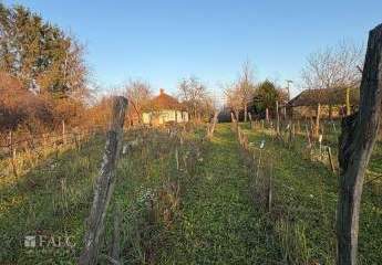 478193-Vorschaubild4