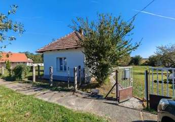 478214-Vorschaubild3