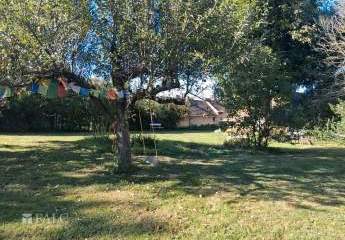 478221-Vorschaubild2